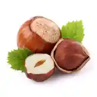 lazdynas