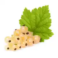 serbentas1