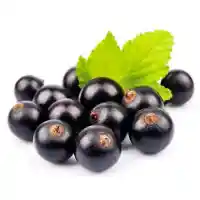 serbentas5